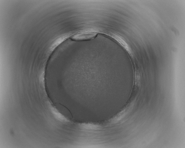 X0000115670389200911251734