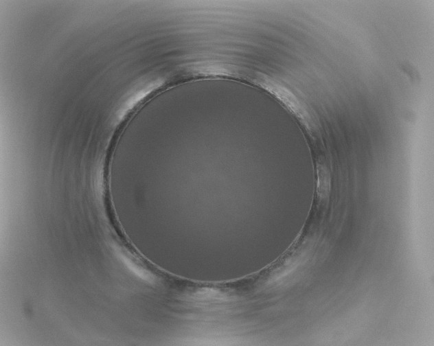 X0000115670390200911251734