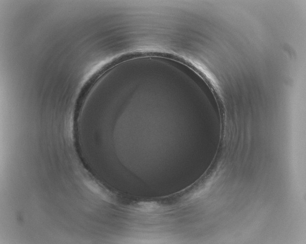 X0000115670391200911251734