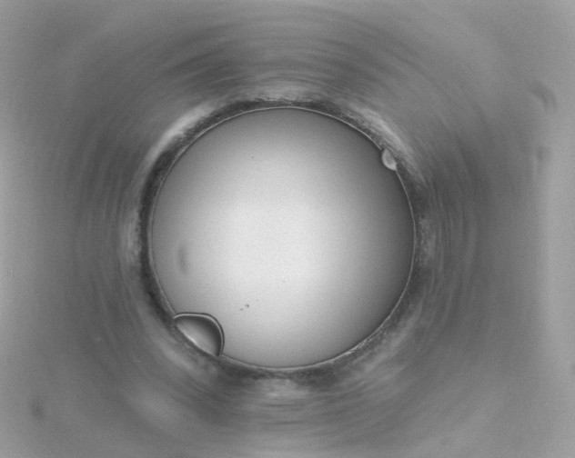 X0000115670392200911251734