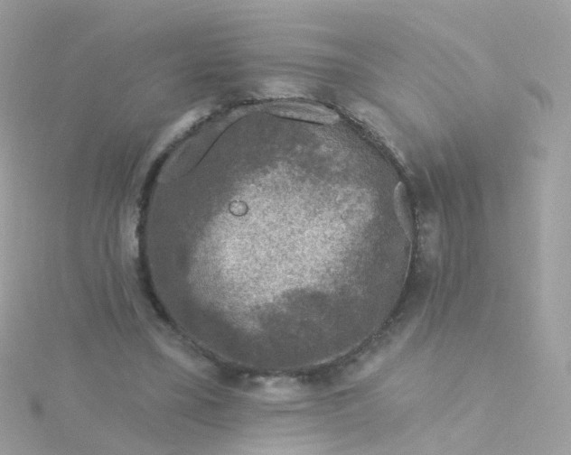 X0000115670395200911251734