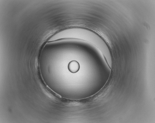 X0000115670397200911251734