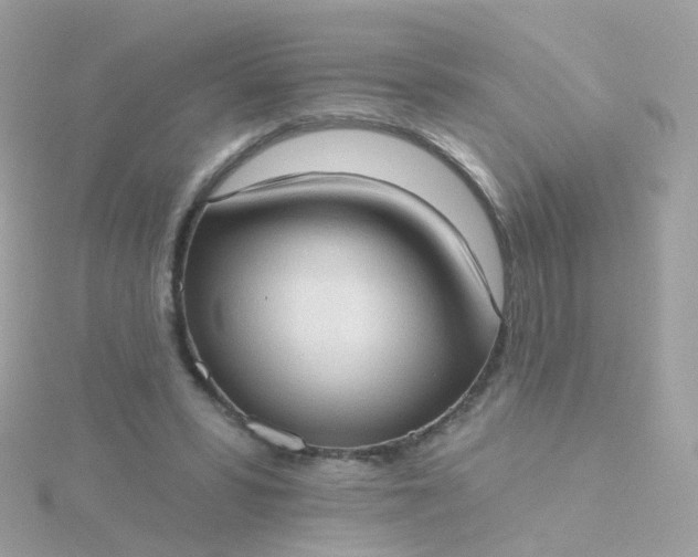 X0000115670399200911251734