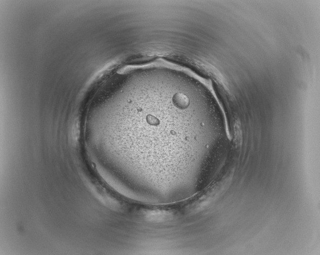 X0000115670400200911251734