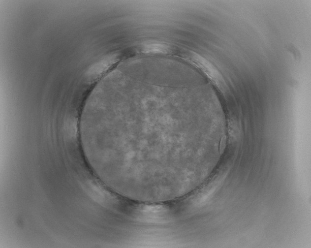 X0000115670401200911251734