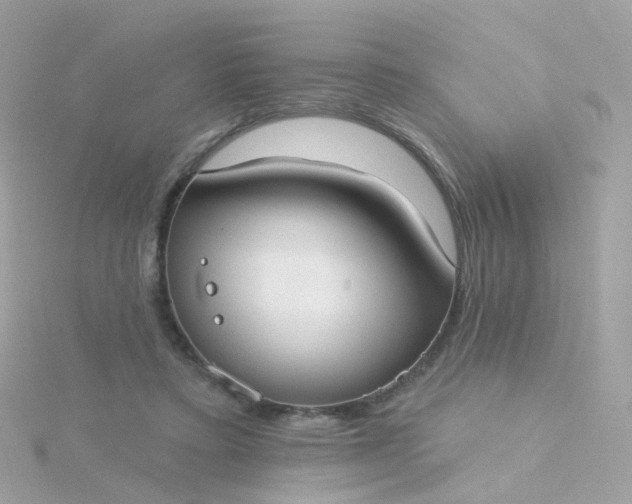 X0000115670403200911251734