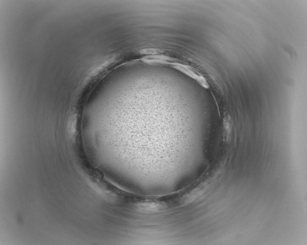 X0000115670404200911251734