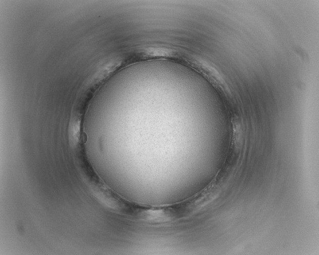 X0000115670406200911251734