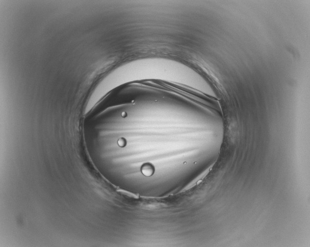 X0000115670407200911251734