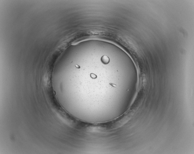 X0000115670408200911251734