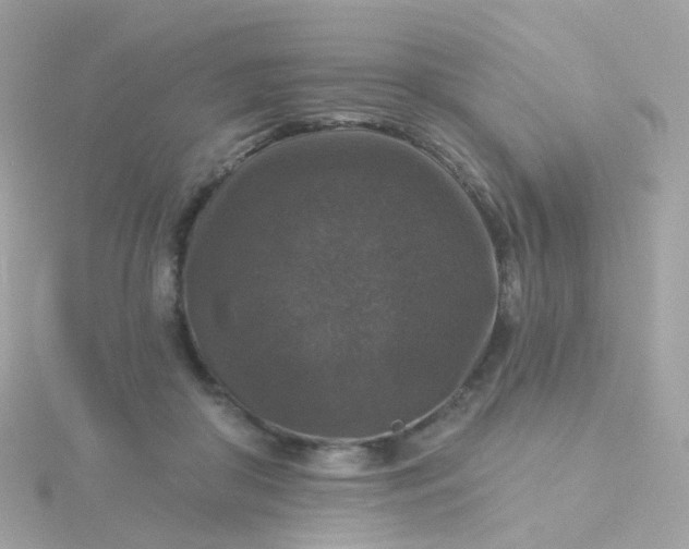 X0000115670410200911251734