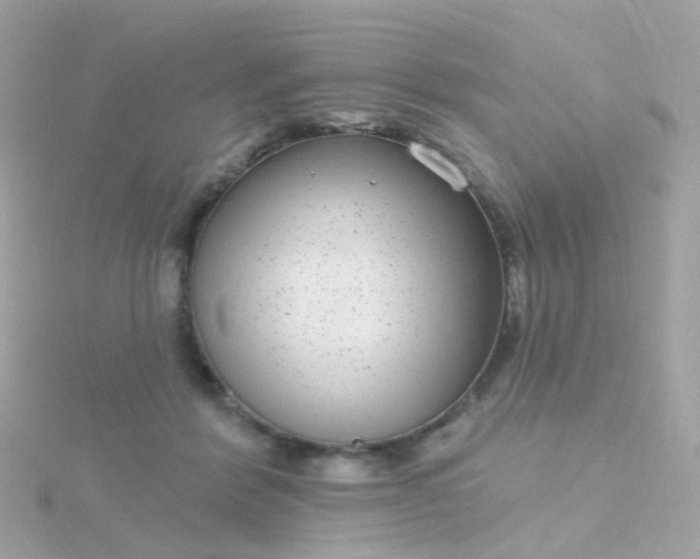 X0000115670412200911251734