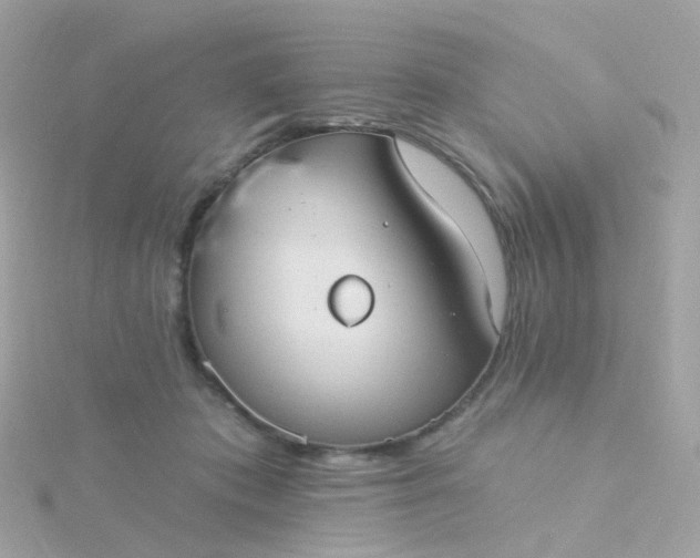 X0000115670413200911251734