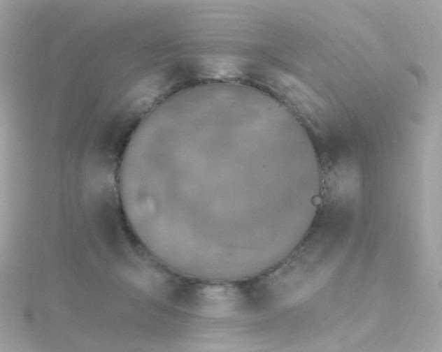 X0000115670415200911251734