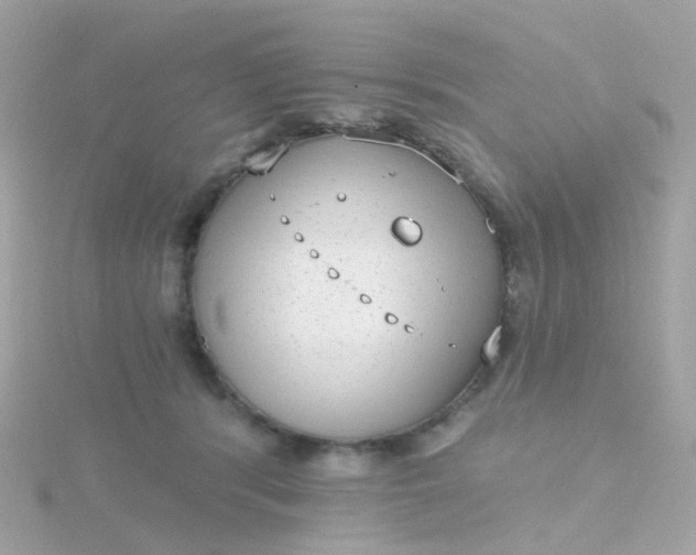 X0000115670416200911251734