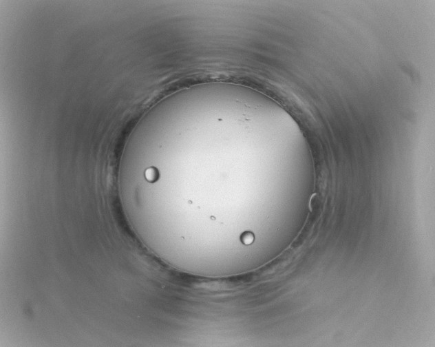 X0000115670417200911251734