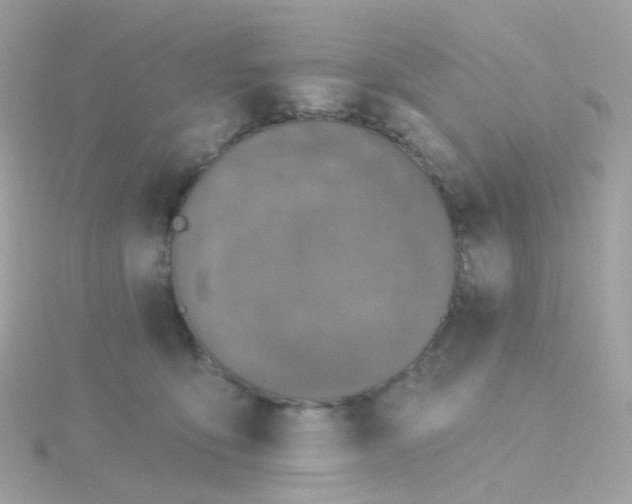 X0000115670419200911251734