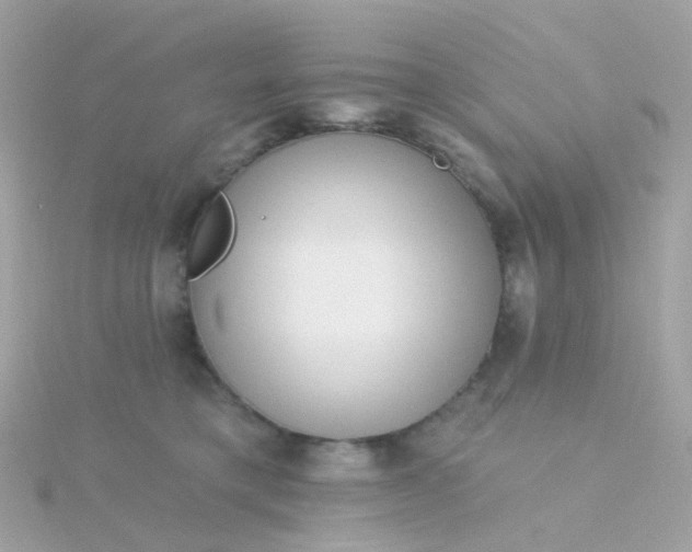 X0000115670421200911251734