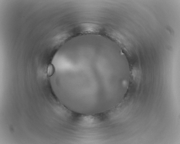 X0000115670423200911251734