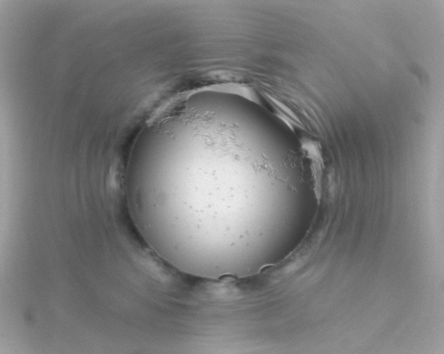 X0000115670424200911251734