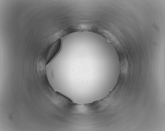 X0000115670425200911251734