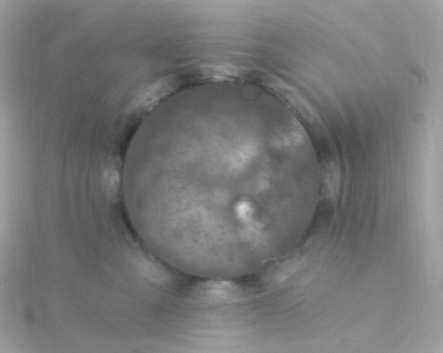 X0000115670427200911251734