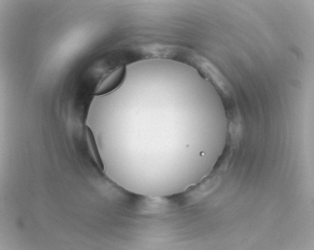 X0000115670429200911251734