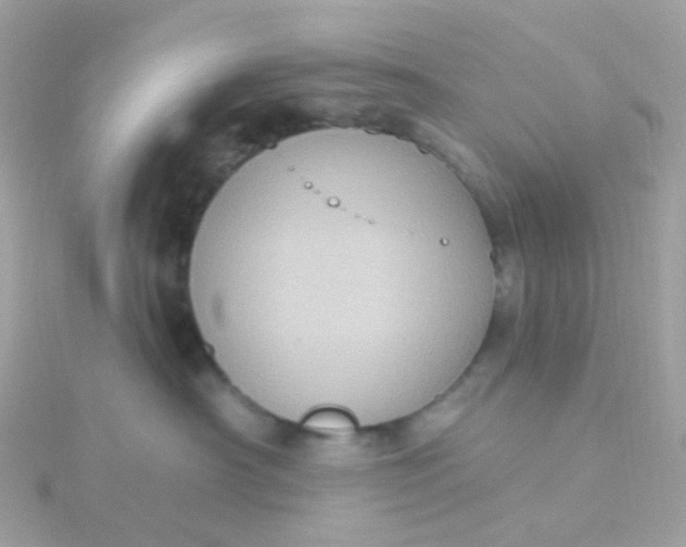 X0000115670430200911251734