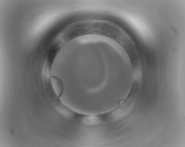 X0000115670431200911251734