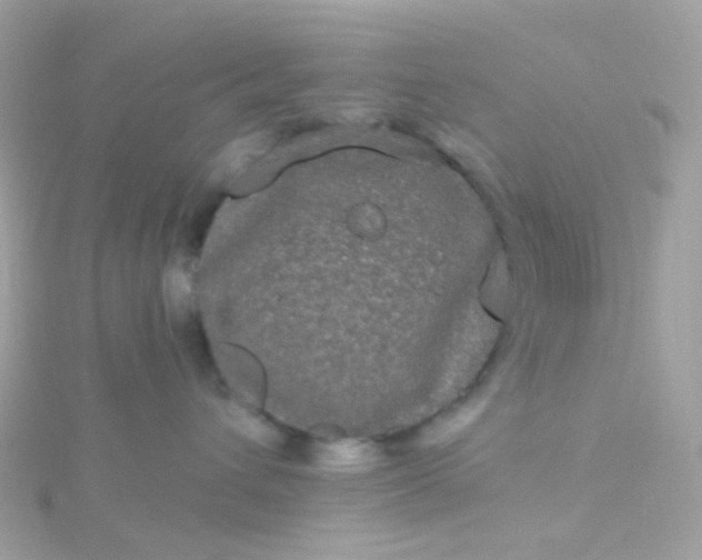 X0000115670432200911251734