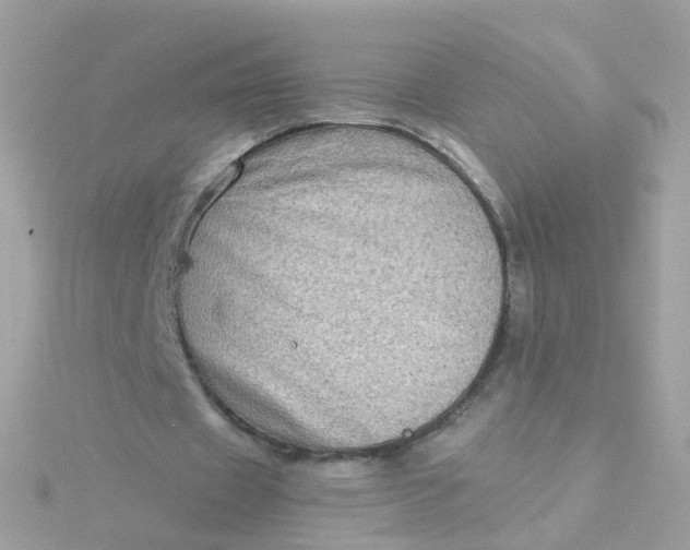 X0000115670433200911251733