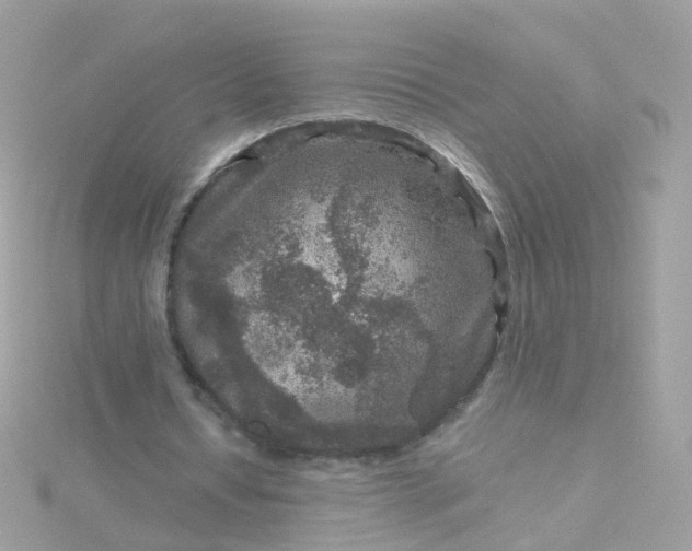 X0000115670434200911251733