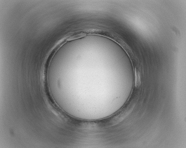 X0000115670435200911251733