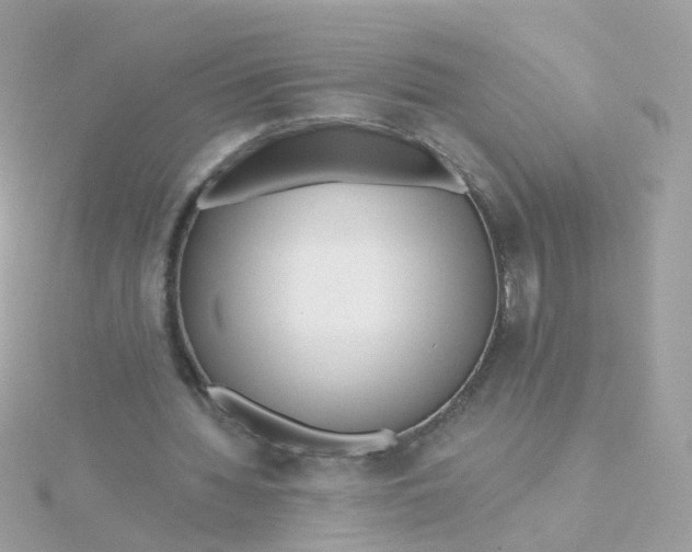 X0000115670436200911251733