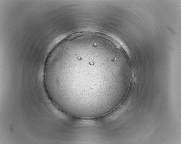 X0000115670437200911251733