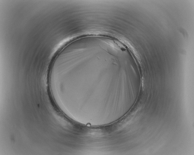 X0000115670438200911251733