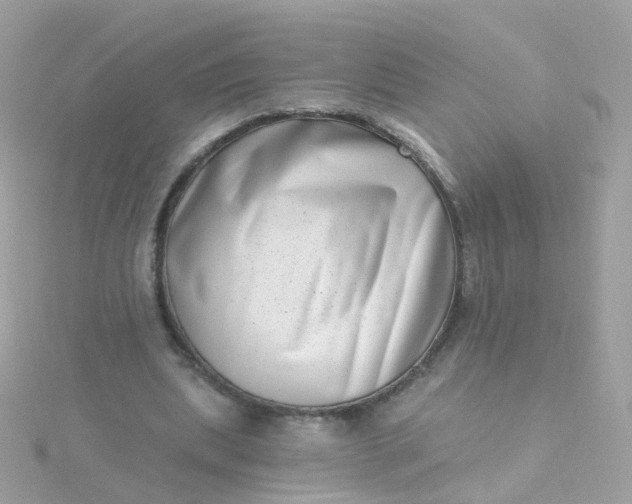 X0000115670439200911251733