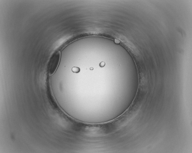 X0000115670440200911251733