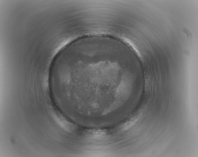 X0000115670443200911251733