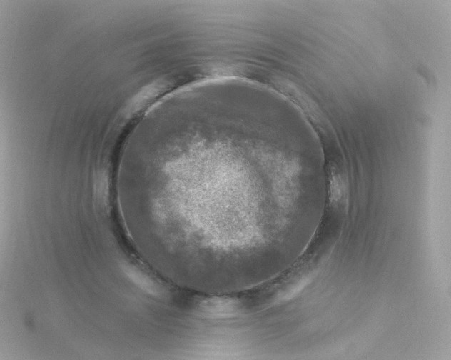 X0000115670444200911251733