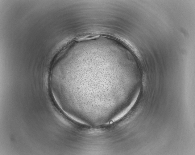 X0000115670445200911251733