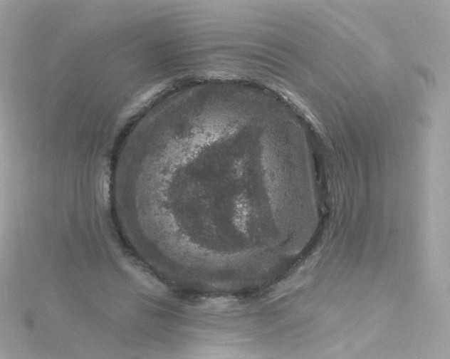 X0000115670446200911251733