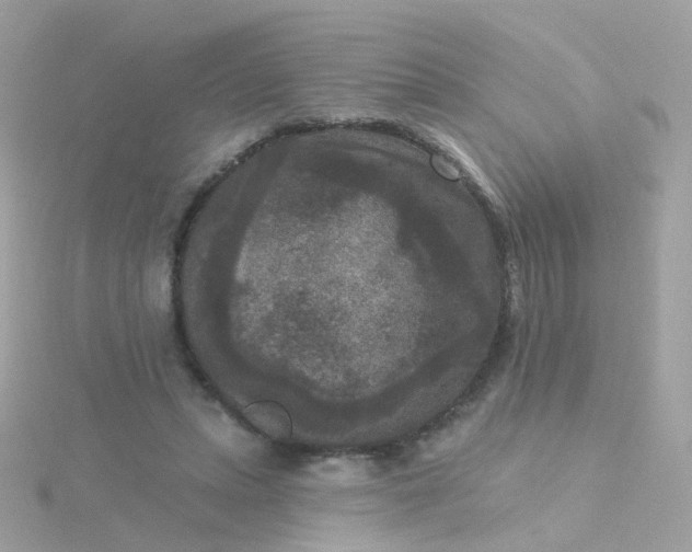 X0000115670447200911251733