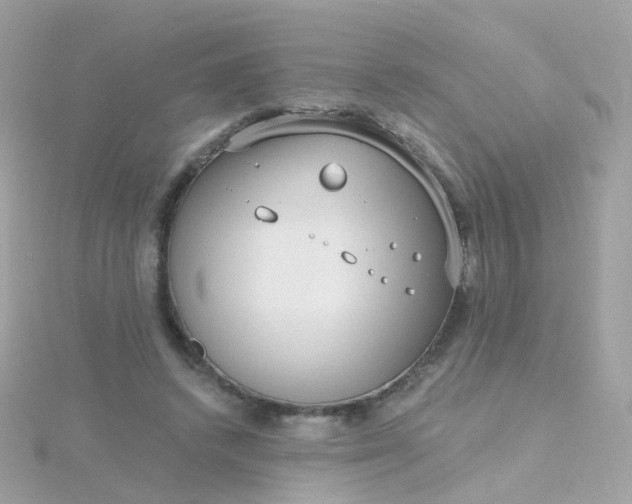 X0000115670448200911251733