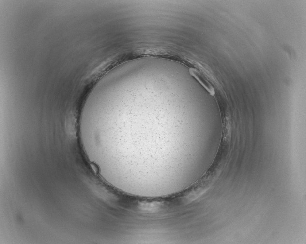 X0000115670450200911251734