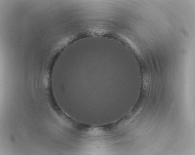 X0000115670451200911251734