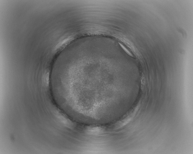 X0000115670454200911251734