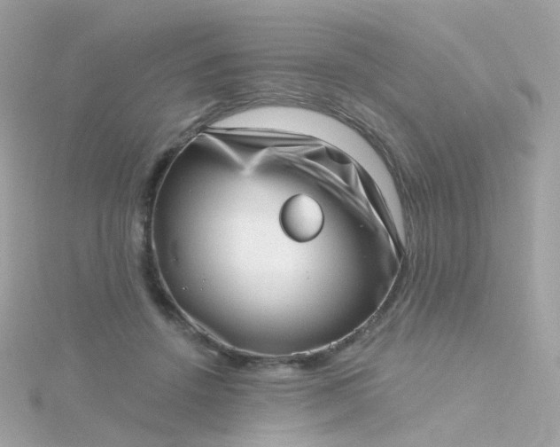 X0000115670456200911251734