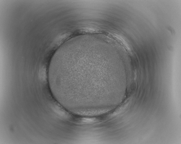 X0000115670457200911251734