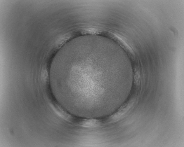 X0000115670459200911251734